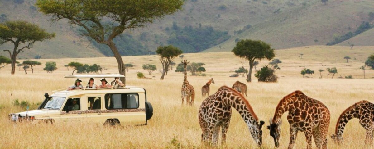 Tanzania Safari Guides – Setting the Gold Standard of Safari Guiding in Tanzania