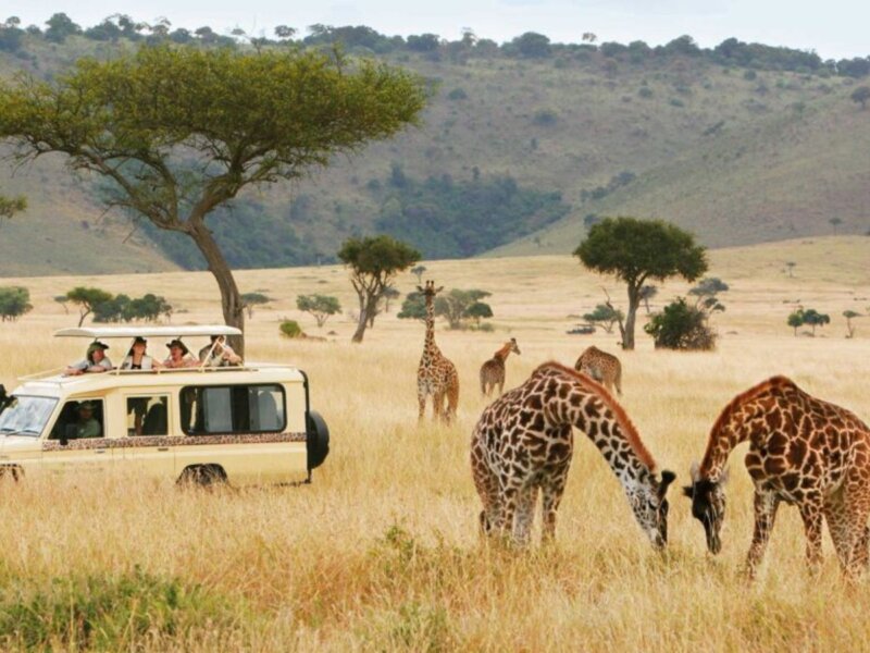 Tanzania Safari Guides – Setting the Gold Standard of Safari Guiding in Tanzania