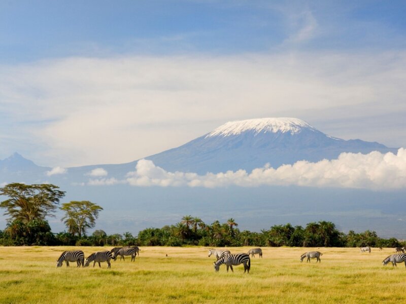 Where to Go and What to See in Moshi After Kilimanjaro Hike