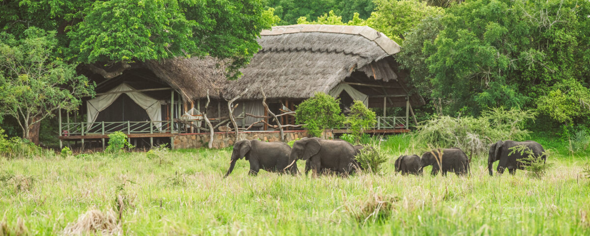 Katavi National Park Safari Adventures