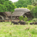 Katavi National Park Safari Adventures