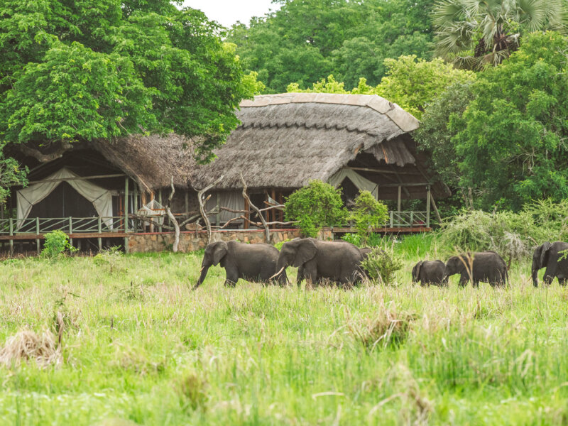 Katavi National Park Safari Adventures