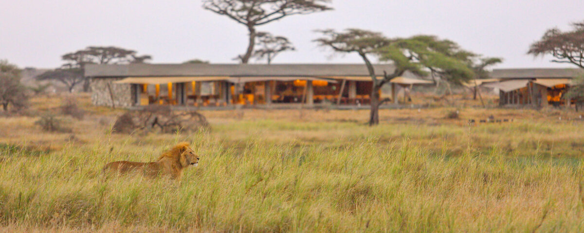 Tanzania Safari with Luxury Camps