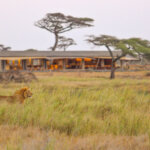 Tanzania Safari with Luxury Camps