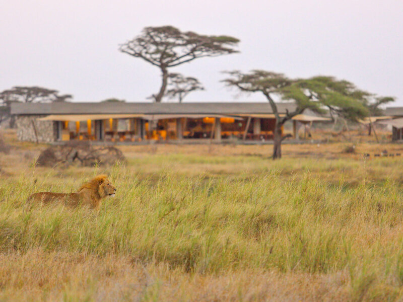 Tanzania Safari with Luxury Camps