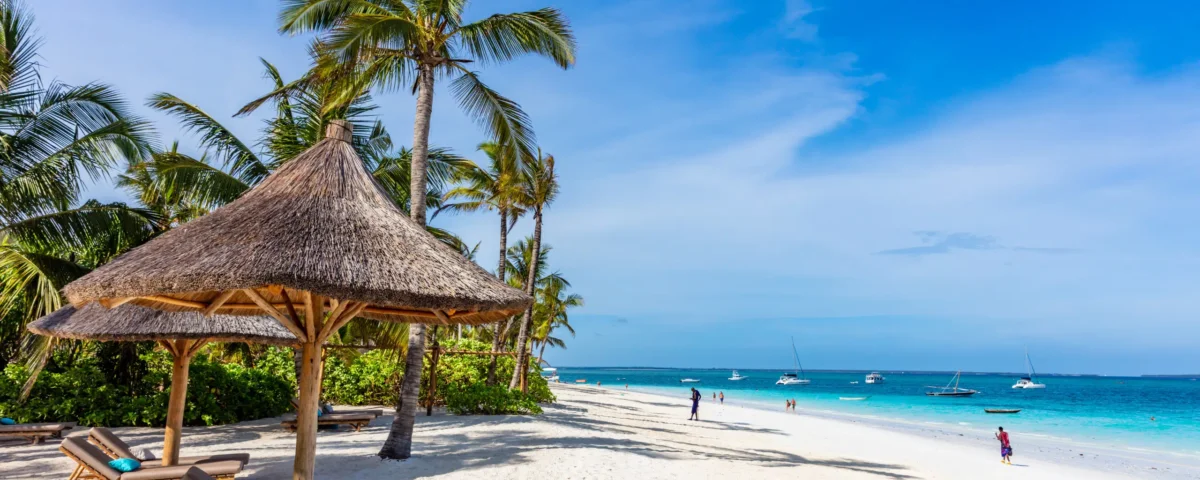 Tanzania Safari and Zanzibar Beach Holidays: The Perfect Bush and Beach Escape