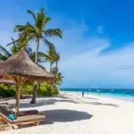 Tanzania Safari and Zanzibar Beach Holidays: The Perfect Bush and Beach Escape