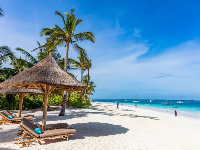 Tanzania Safari and Zanzibar Beach Holidays: The Perfect Bush and Beach Escape
