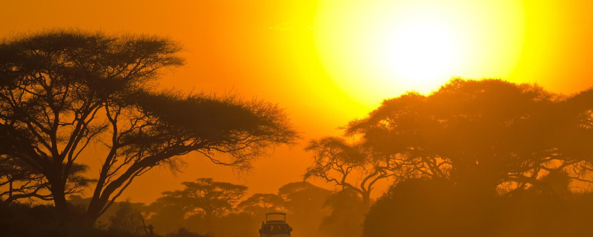 Tanzania Sundowner Safari Experiences