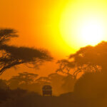 Tanzania Sundowner Safari Experiences