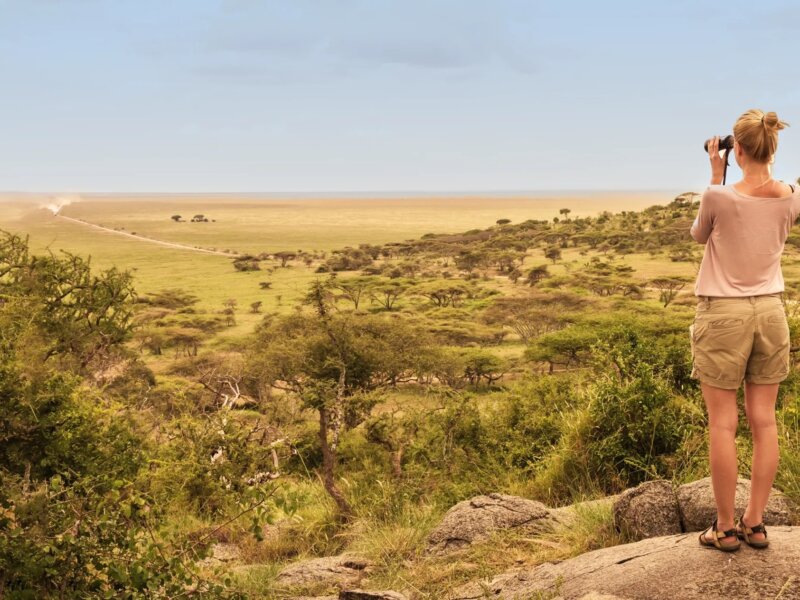 Tanzania Midrange Safari Tours: The Perfect Balance of Comfort and Value
