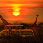 December Tanzania Safari Holidays – Best Festive Season Safari in Tanzania