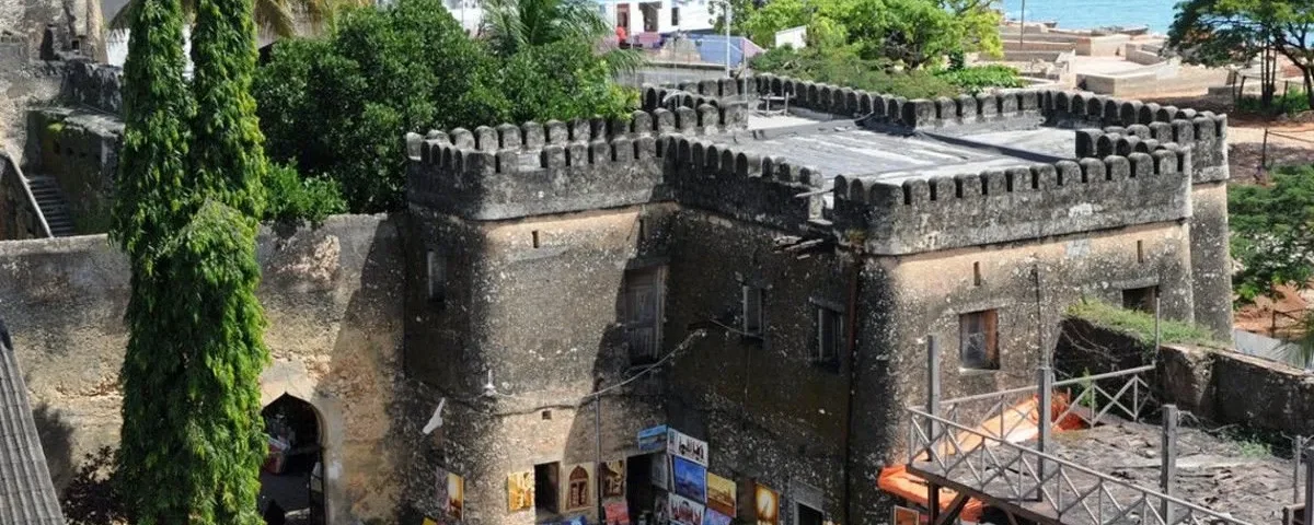Tanzania Safari and Stone Town Tours
