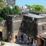 Tanzania Safari and Stone Town Tours