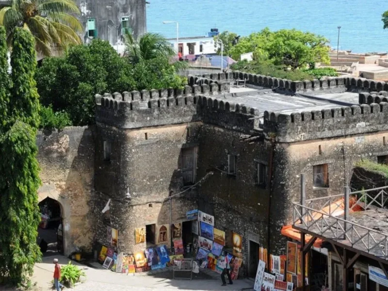 Tanzania Safari and Stone Town Tours