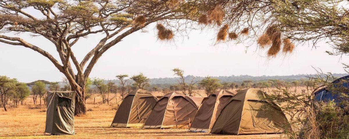 4 Days Tanzania Safari Holidays
