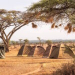 4 Days Tanzania Safari Holidays