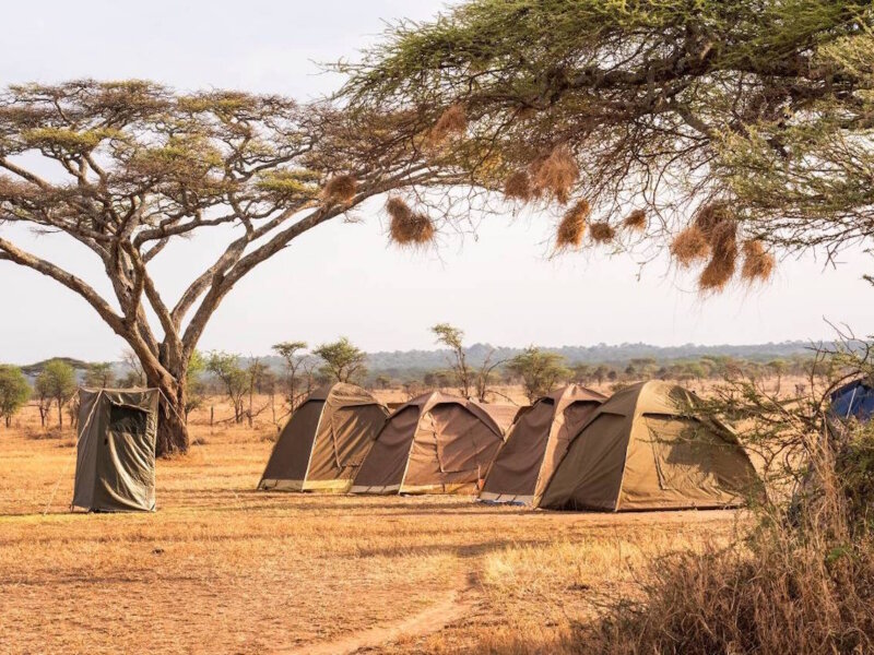4 Days Tanzania Safari Holidays