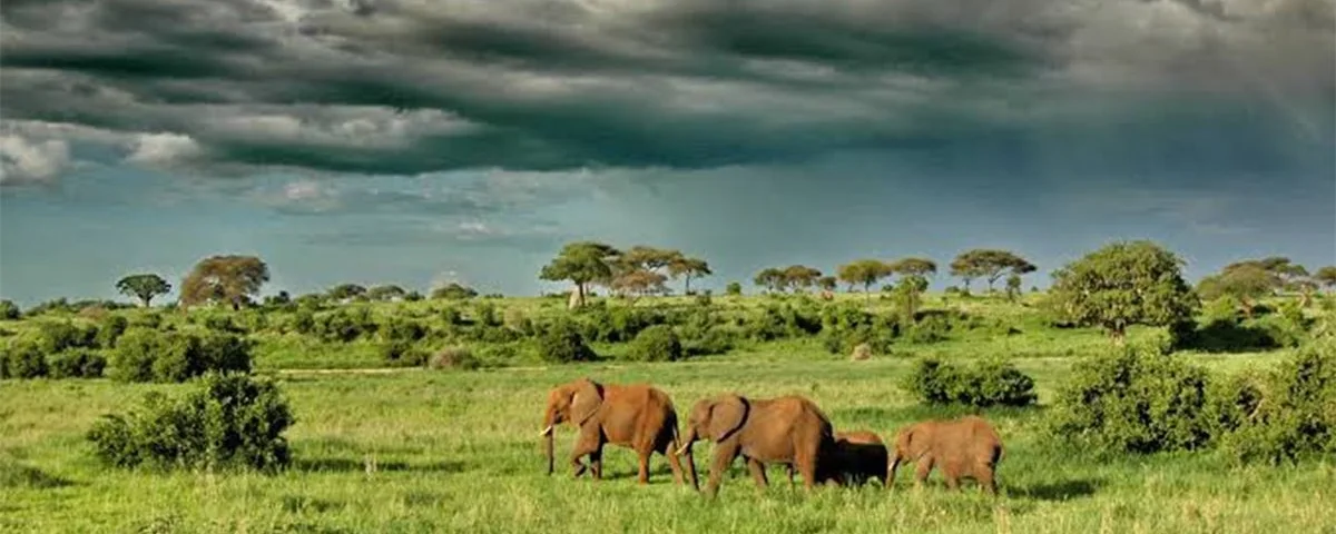 Is Tanzania Safe for Tourists?