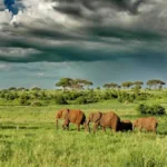 Is Tanzania Safe for Tourists?