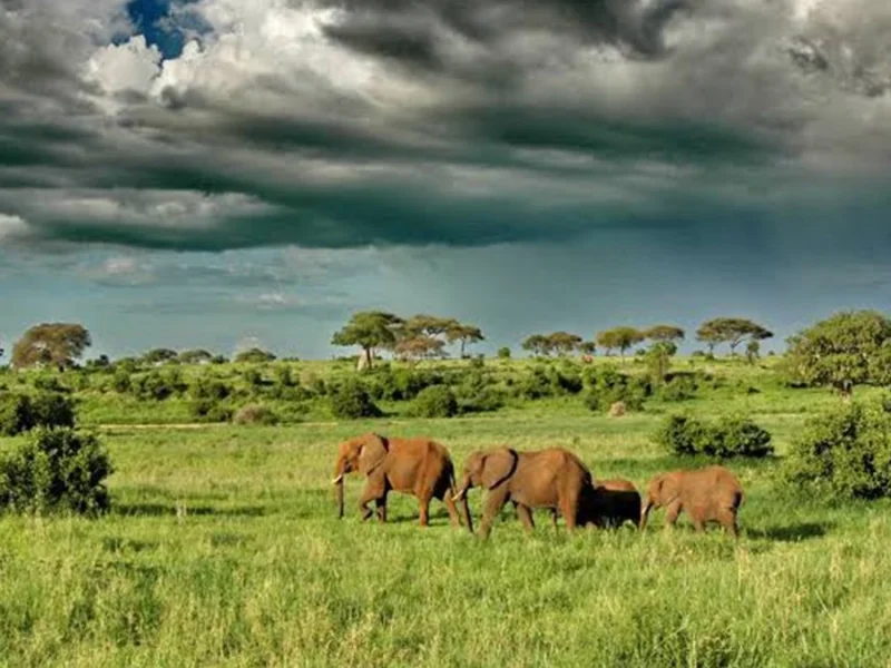 Is Tanzania Safe for Tourists?