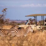 Tanzania Safari for Couples