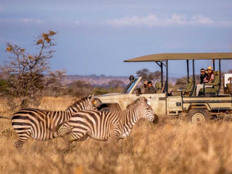 Tanzania Safari for Couples