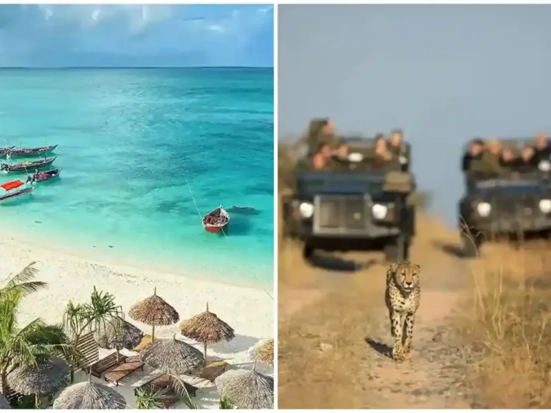 Zanzibar and Safari Combo Tours: The Ultimate Africa Bush and Beach Experience