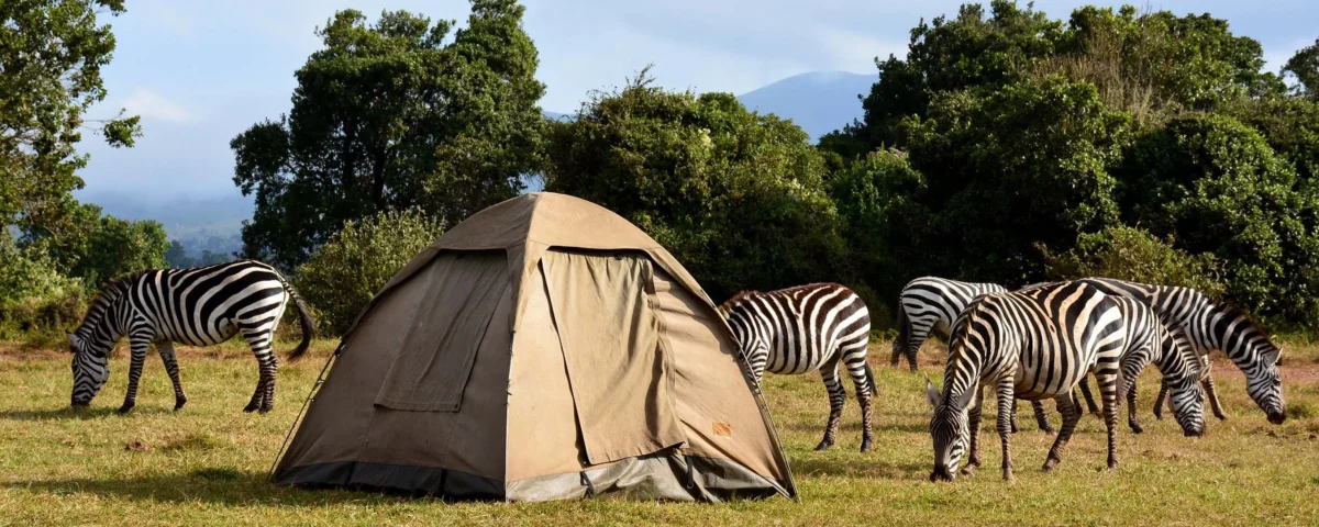 5 Days Tanzania Safari Adventures