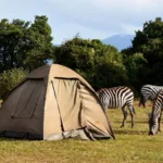 5 Days Tanzania Safari Adventures