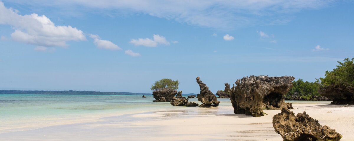 Tanzania Safari and Mafia Island Tours