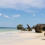 Tanzania Safari and Mafia Island Tours