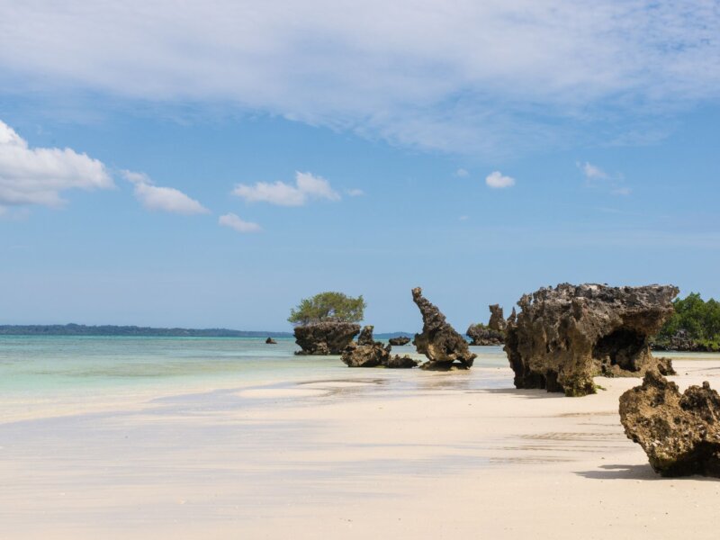 Tanzania Safari and Mafia Island Tours
