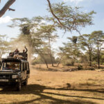 Tanzania Safari from Nairobi