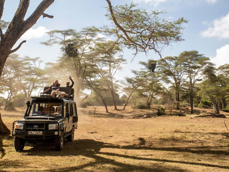 Tanzania Safari from Nairobi