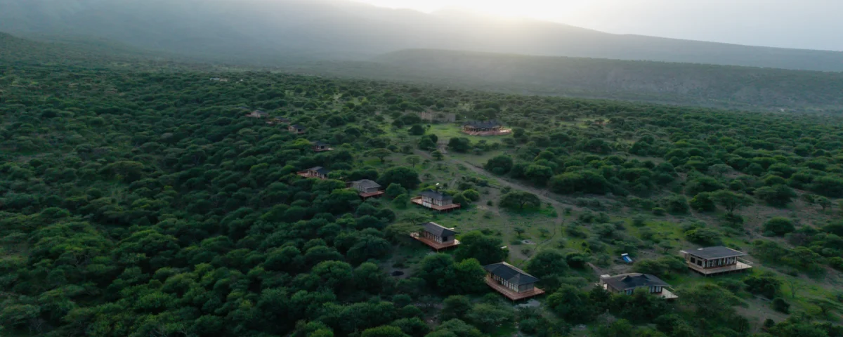 Tanzania Safari and Archaeological Tours