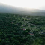 Tanzania Safari and Archaeological Tours