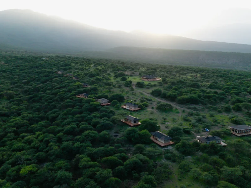 Tanzania Safari and Archaeological Tours