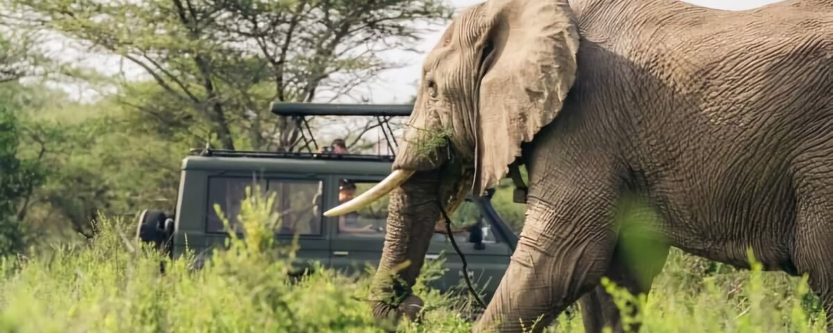 8 Days Tanzania Safari Holidays