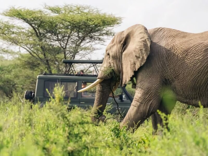 8 Days Tanzania Safari Holidays