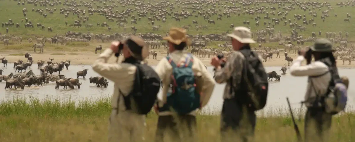 Tanzania Safari with Wildlife Experts