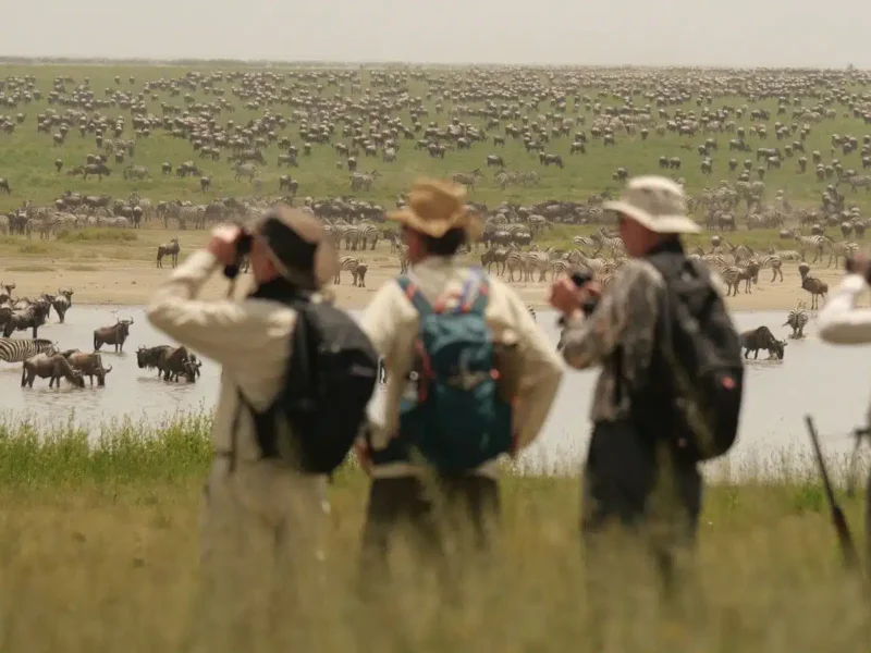 Tanzania Safari with Wildlife Experts