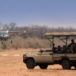 Tanzania Fly-in Safaris: Discover Africa with Speed, Comfort, and Style