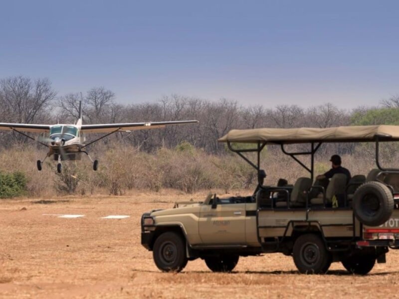 Tanzania Fly-in Safaris: Discover Africa with Speed, Comfort, and Style