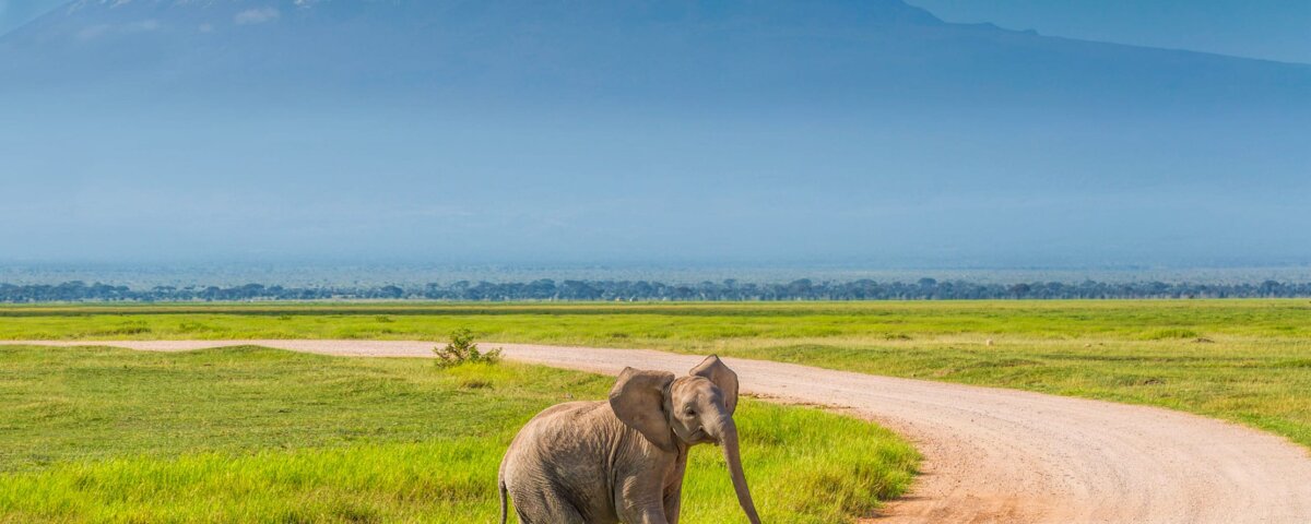 Amboseli National Park Safari