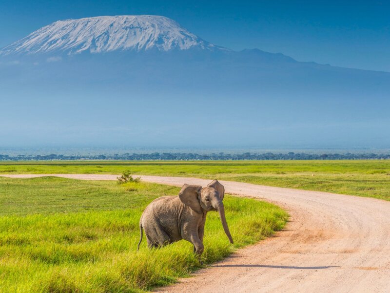 Amboseli National Park Safari 