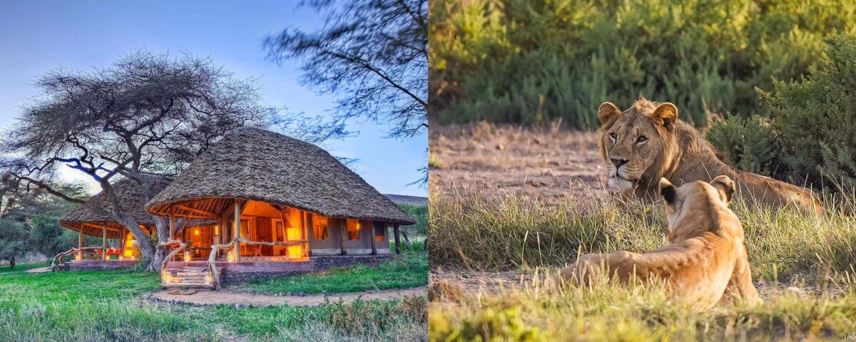 Amboseli Safari Itinerary Ideas