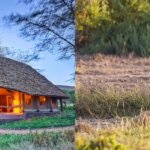 Amboseli Safari Itinerary Ideas