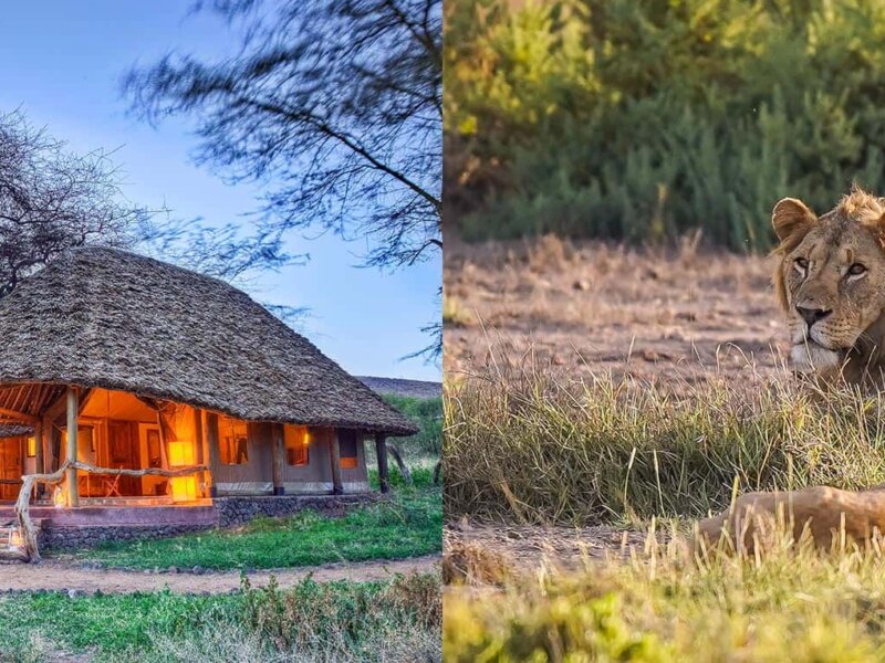 Amboseli Safari Itinerary Ideas