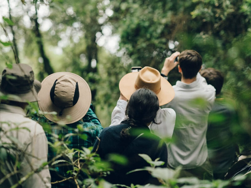 Are Uganda safaris safe for tourists?